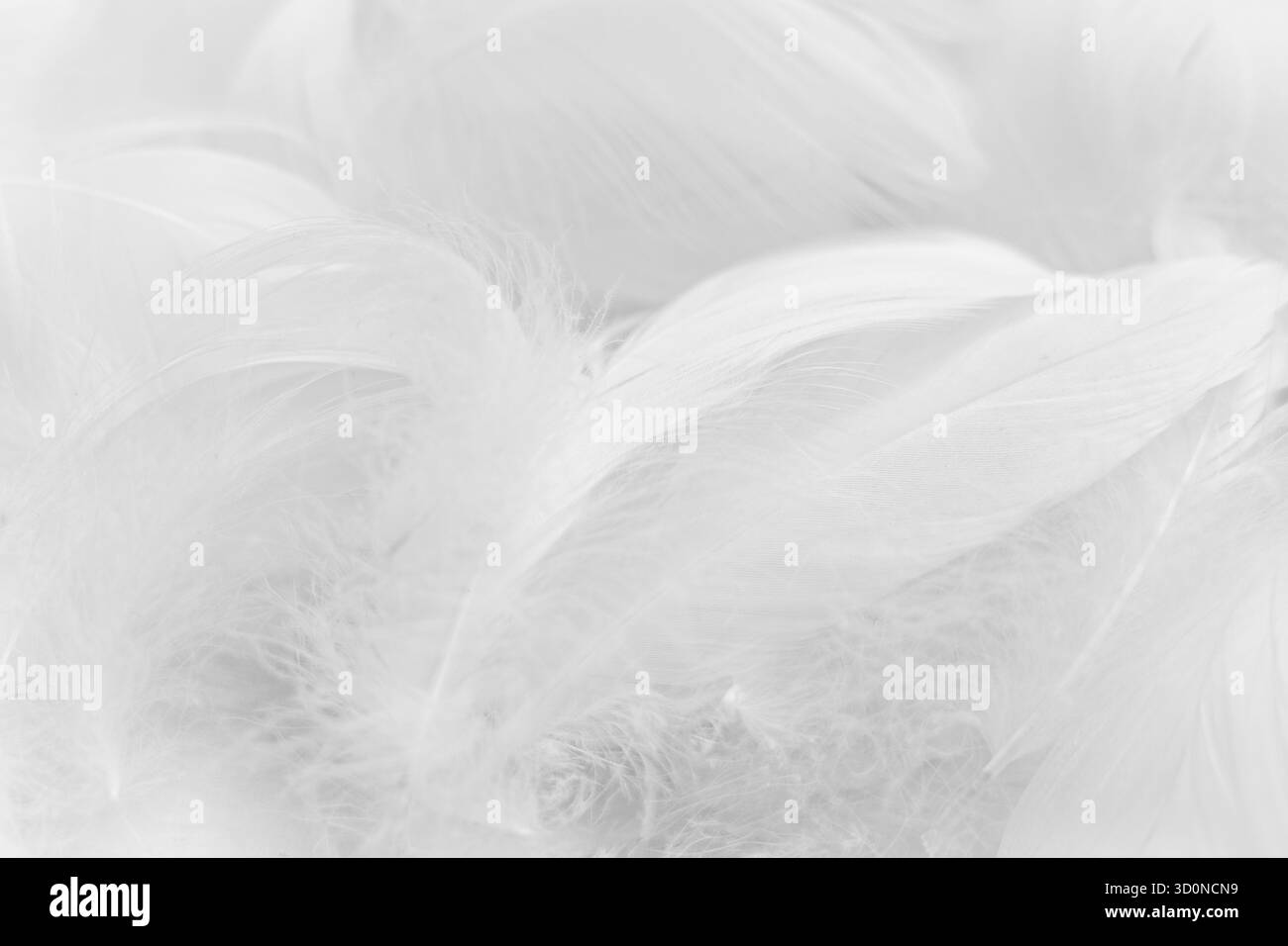 Illustration of Softer Textures For A Calming Atmosphere