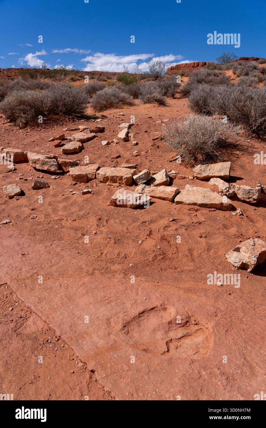 Eubrontus A track of a large prehistoric Eubrontes dinosaur at the Warner Valley ...