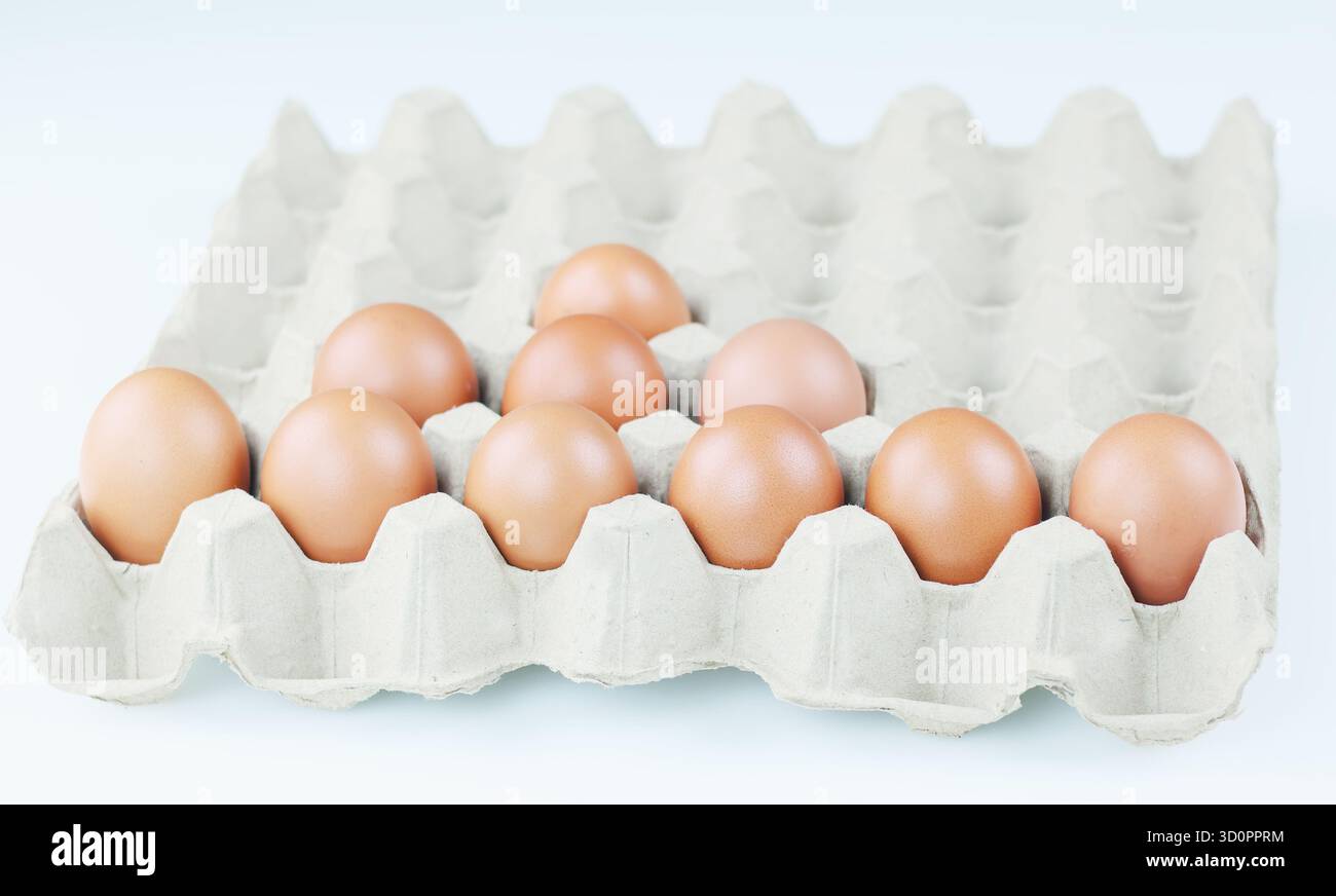 Fresh eggs placed in a cardboard egg carton. Stock Photo
