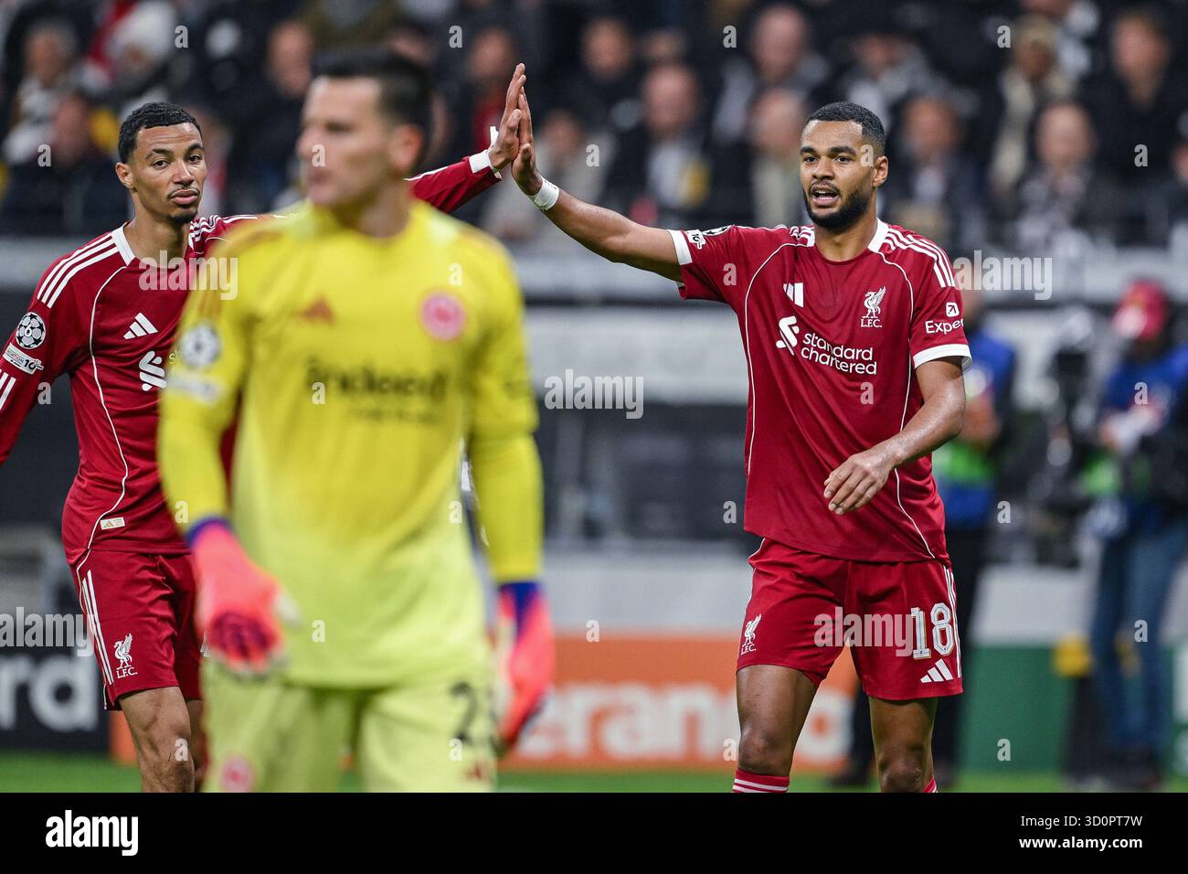 Liverpool Ekitik Champions What This Means for Liverpool and France