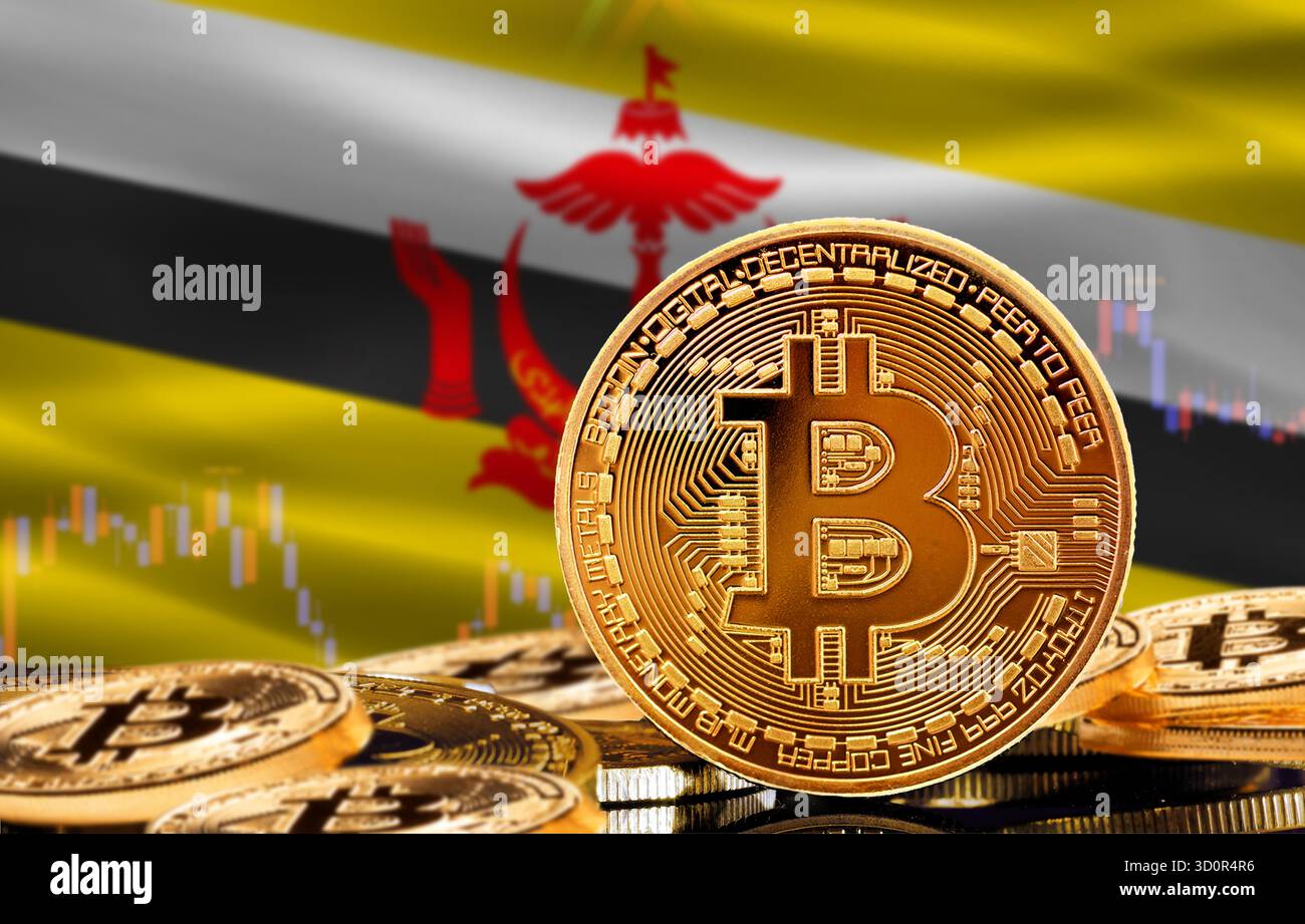 Investors in cryptocurrency and Blockchain Technology in Brunei, Concept.  Bitcoin with Brunei flag in the background Stock Photo - Alamy