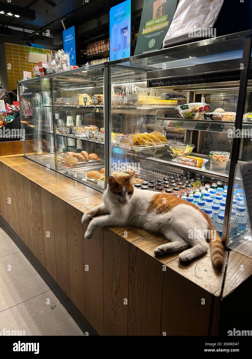 The image shows a white and orange cat lying on a wooden counter next ...