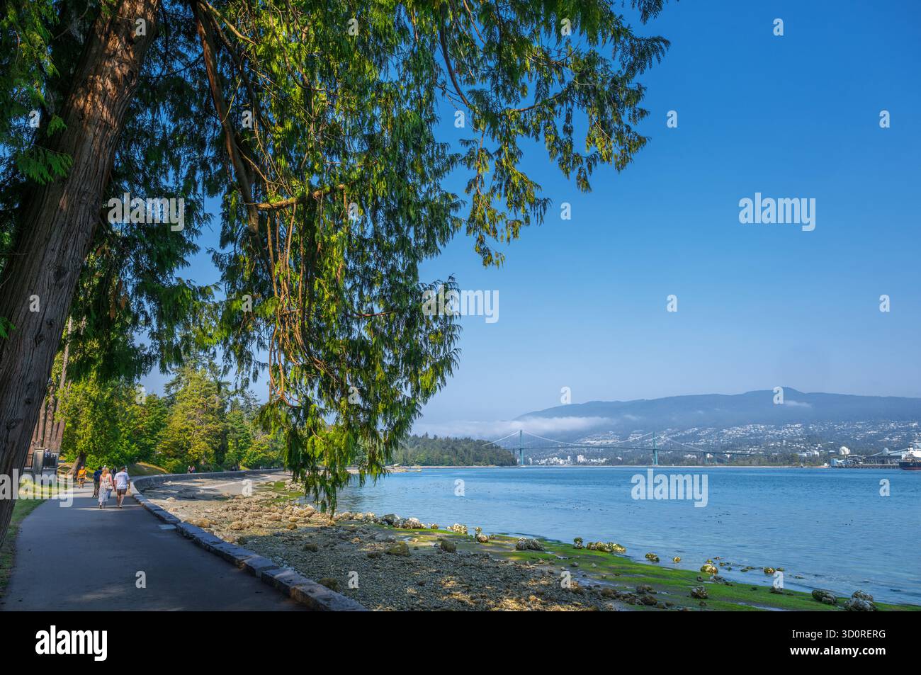 Seawall Path, Stanley Park, Vancouver, British Columbia, Canada Stock Photo