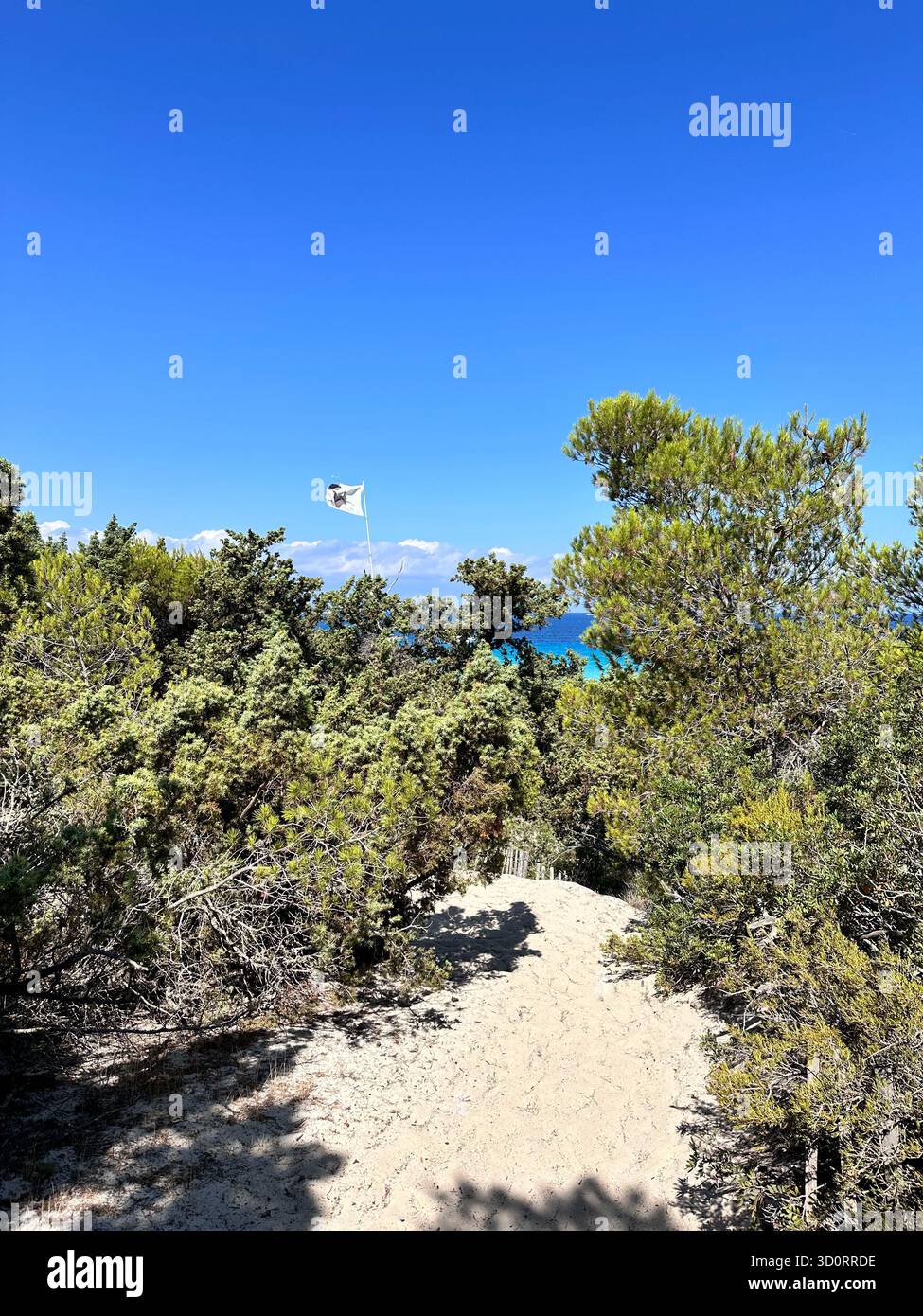 Scenic trail leading through shrubs to a wild beach on Corsica Island France with a beautiful view of the approaching blue sea. - Smartphone Captured Stock Image