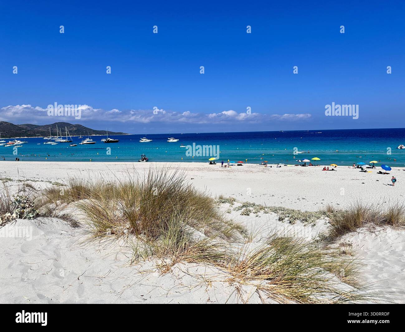 Peaceful wild sandy beach on Corsica Island France with turquoise Mediterranean water and yachts visible on the horizon. - Smartphone Captured Stock Image