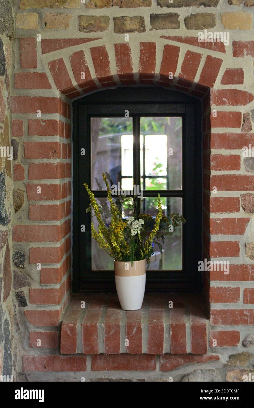 Window Stillness – Wildflowers in Light Stock Photo