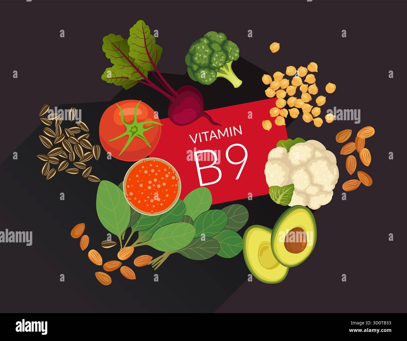 Healthy food high in Vitamin B9 (folate) - Stock Illustration as EPS 10 ...