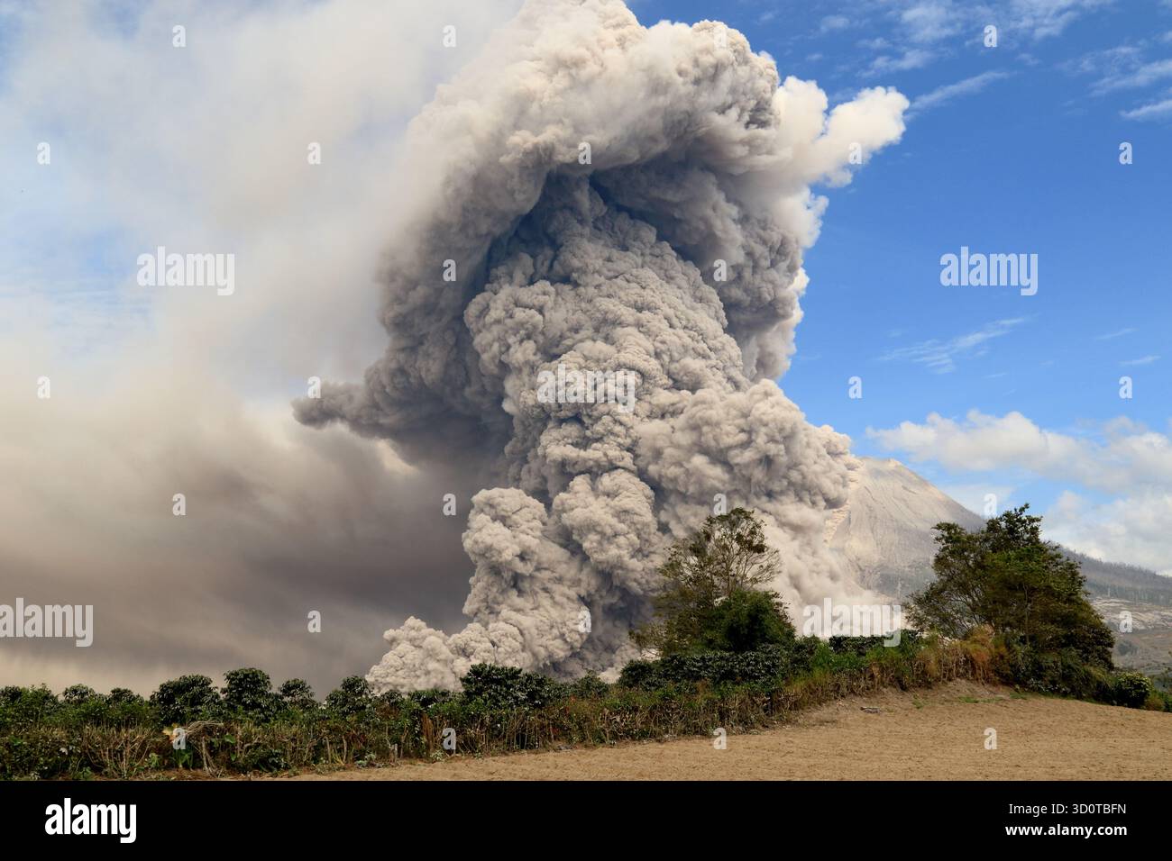 Pyroclastic Flow Nuke Eruption of Sinabung volcano with pyroclastic flow Stock Photo - Alamy