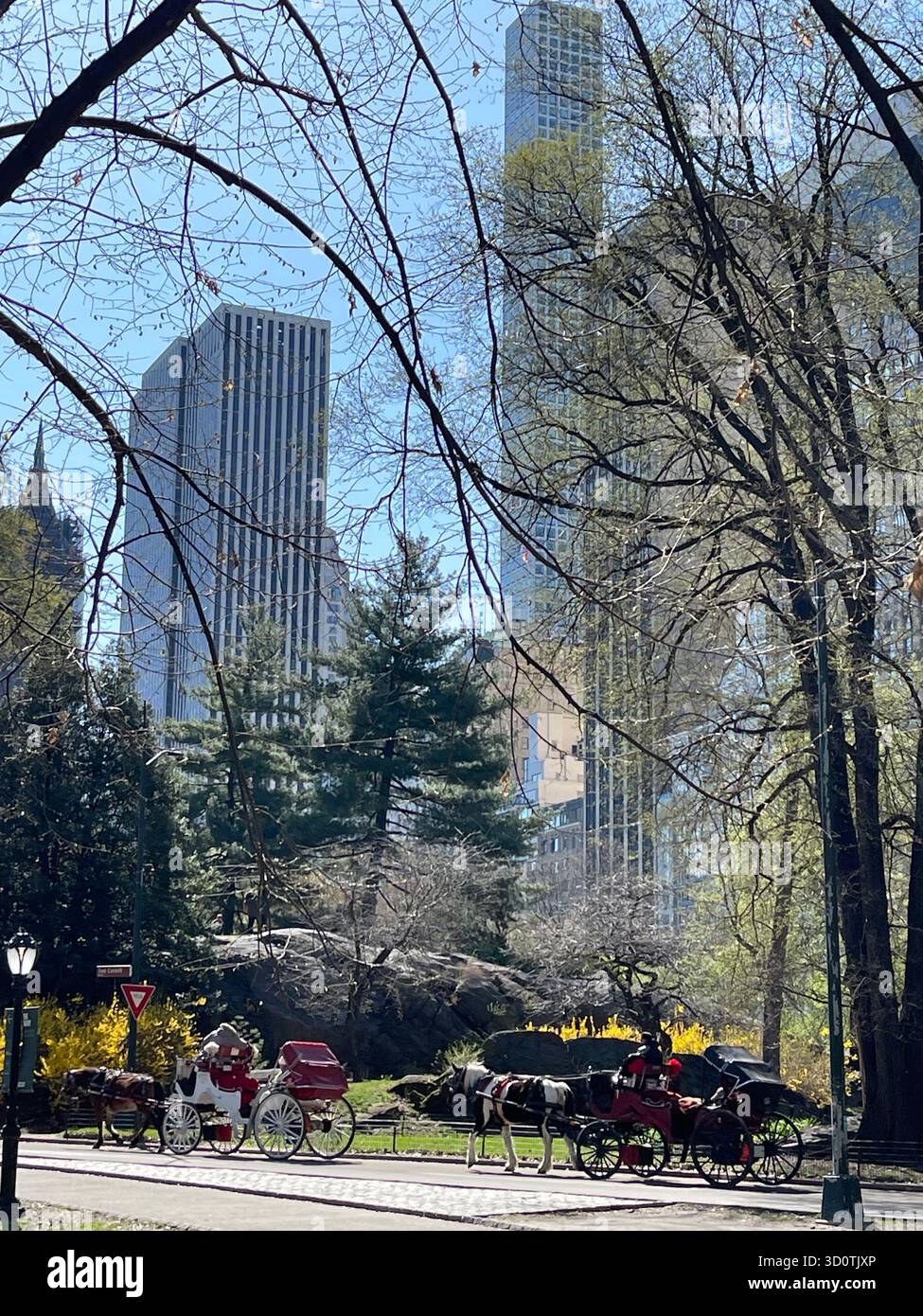 Timeless charm in Central Park — horses and carriages on a city stroll - Smartphone Captured Stock Image