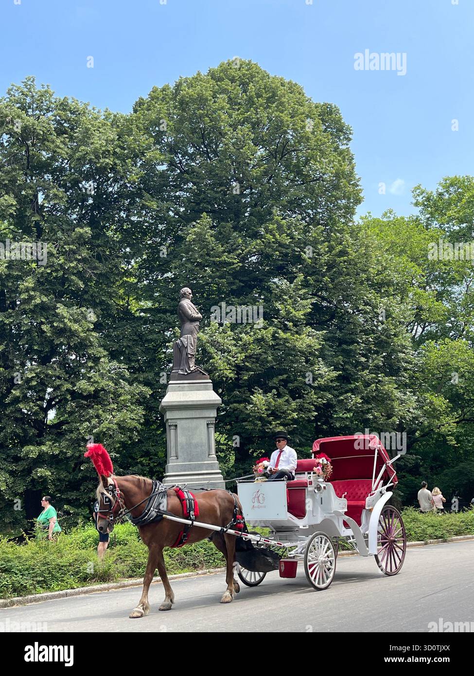 Timeless charm in Central Park — horses and carriages on a city stroll - Smartphone Captured Stock Image