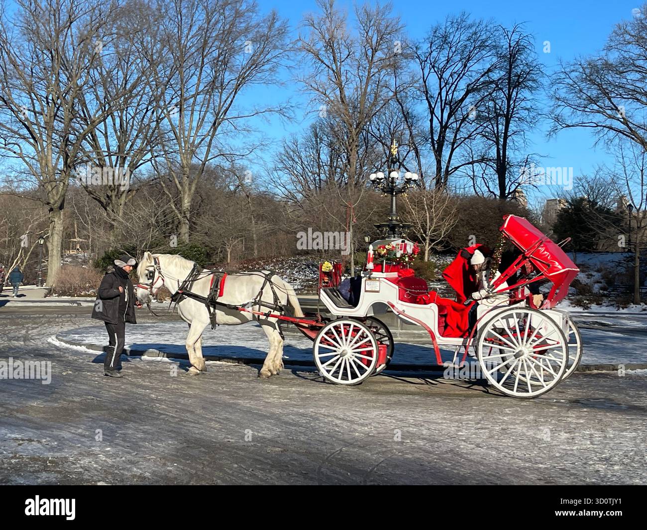 Timeless charm in Central Park — horses and carriages on a city stroll - Smartphone Captured Stock Image