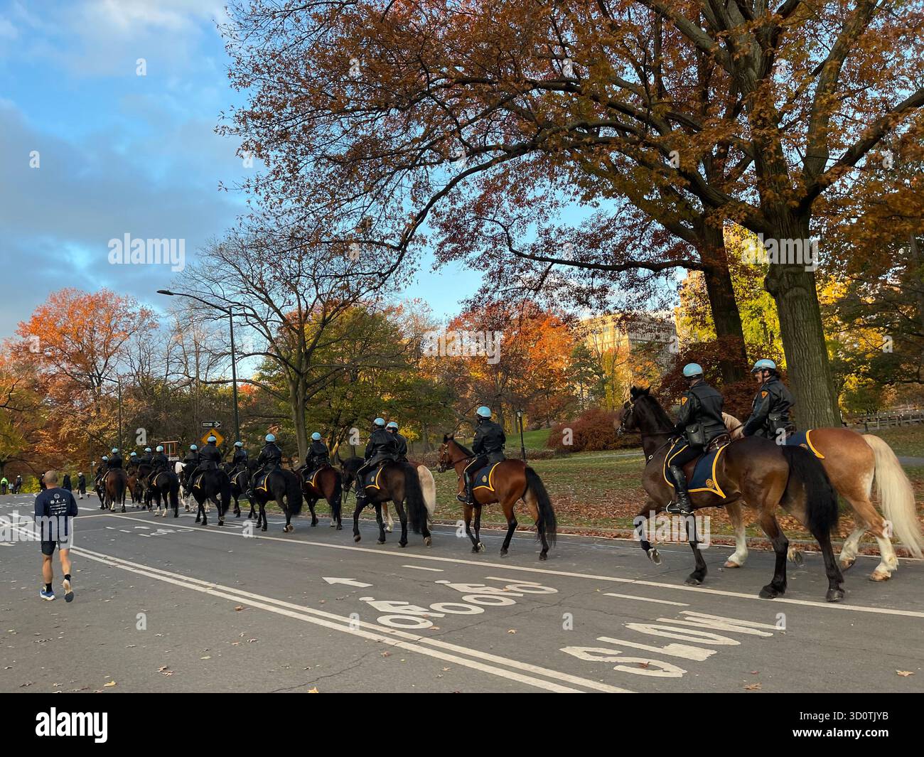 Timeless charm in Central Park — horses and carriages on a city stroll - Smartphone Captured Stock Image