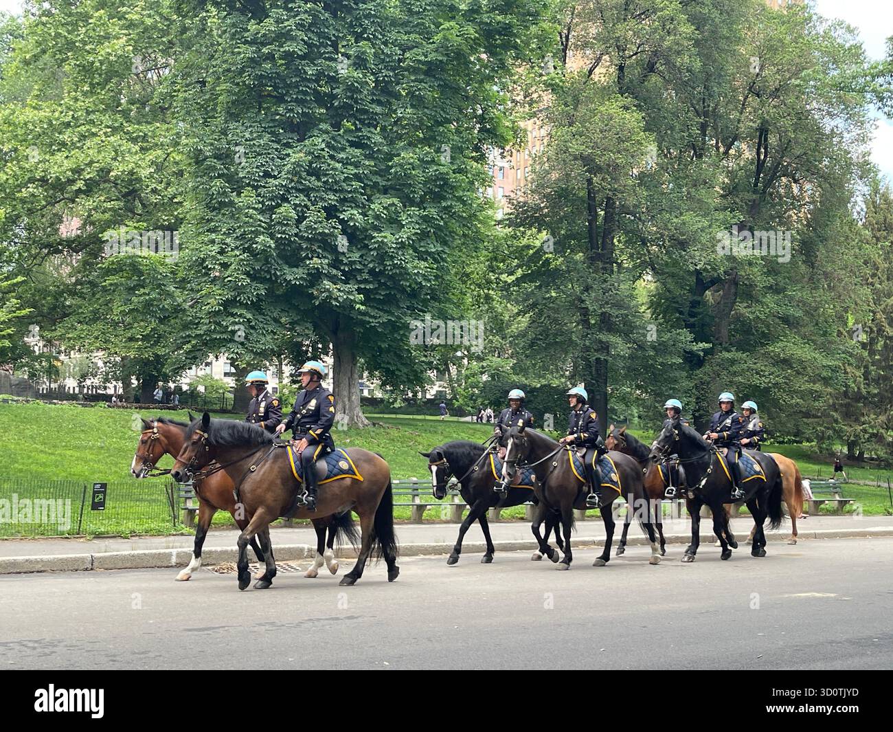 Timeless charm in Central Park — horses and carriages on a city stroll - Smartphone Captured Stock Image