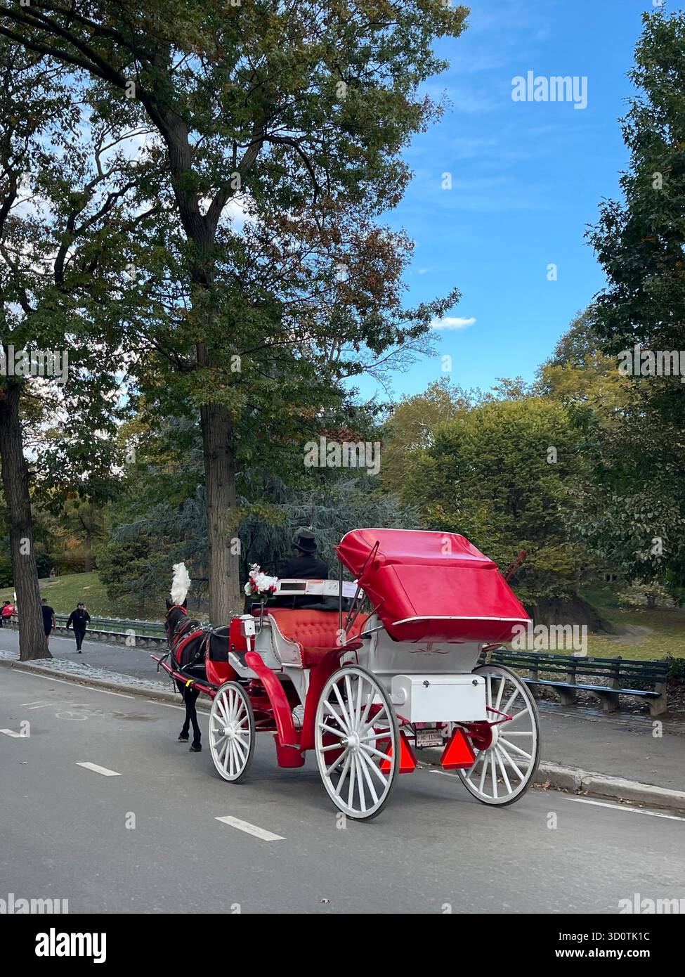 Timeless charm in Central Park — horses and carriages on a city stroll - Smartphone Captured Stock Image