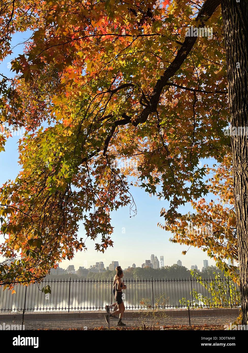 The Reservoir, Central Park NYC — peaceful and full of energy in every season. - Smartphone Captured Stock Image