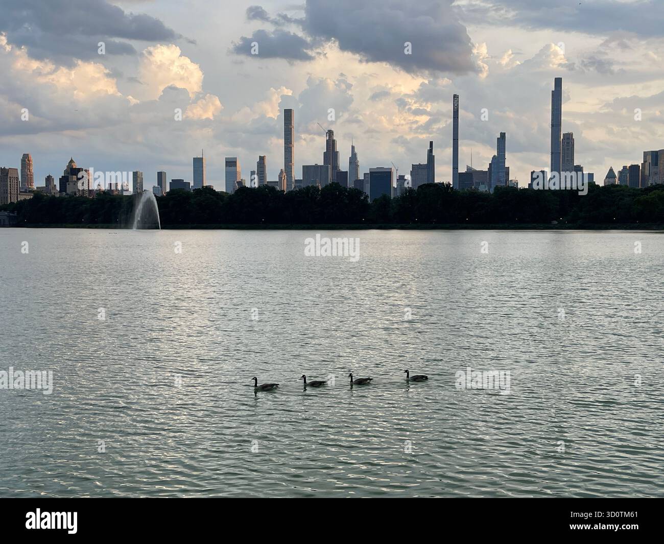 The Reservoir, Central Park NYC — peaceful and full of energy in every season. - Smartphone Captured Stock Image