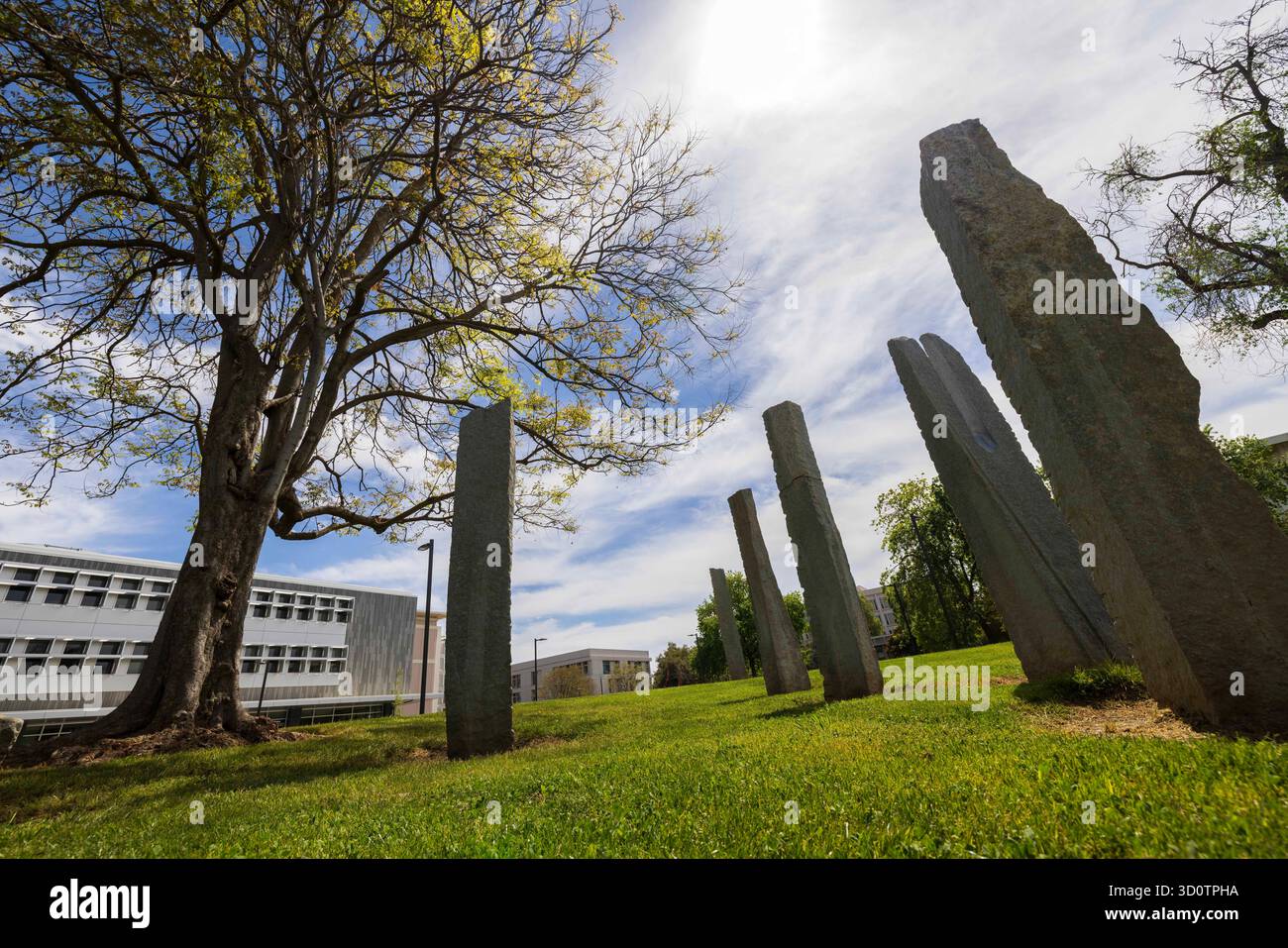 Primarily Davis April 10, 2025, Davis, California, USA: Standing stones artwork titled ...