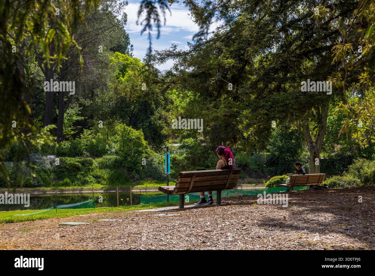 Primarily Davis April 10, 2025, Davis, California, USA: A student enjoys a quiet moment ...