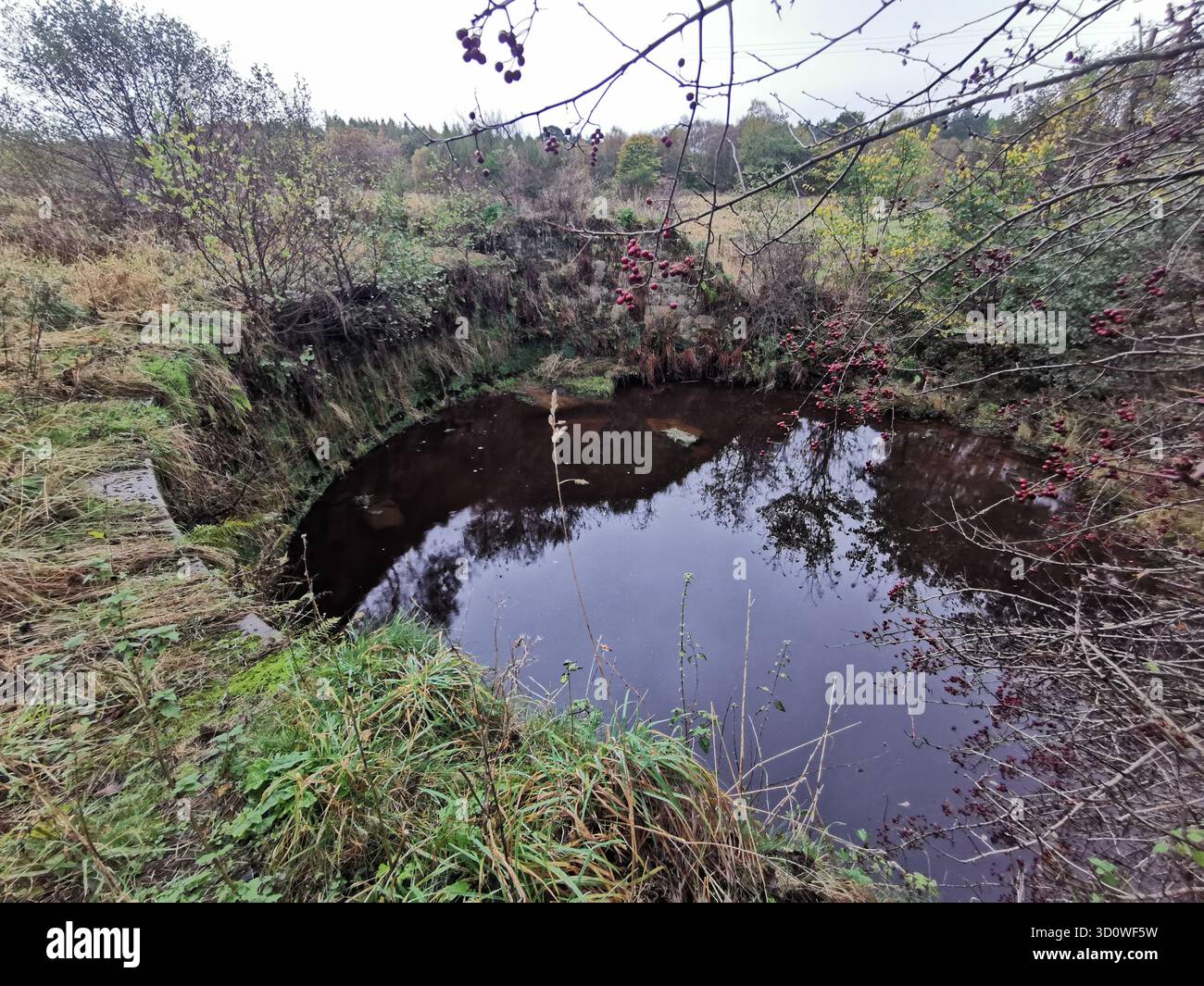 Crumbling ruin of the 1712 horseshoe weir at Forestmill, Clackmannanshire—abandoned hydraulic work by pioneering engineer George Sorocold. - Smartphone Captured Stock Image