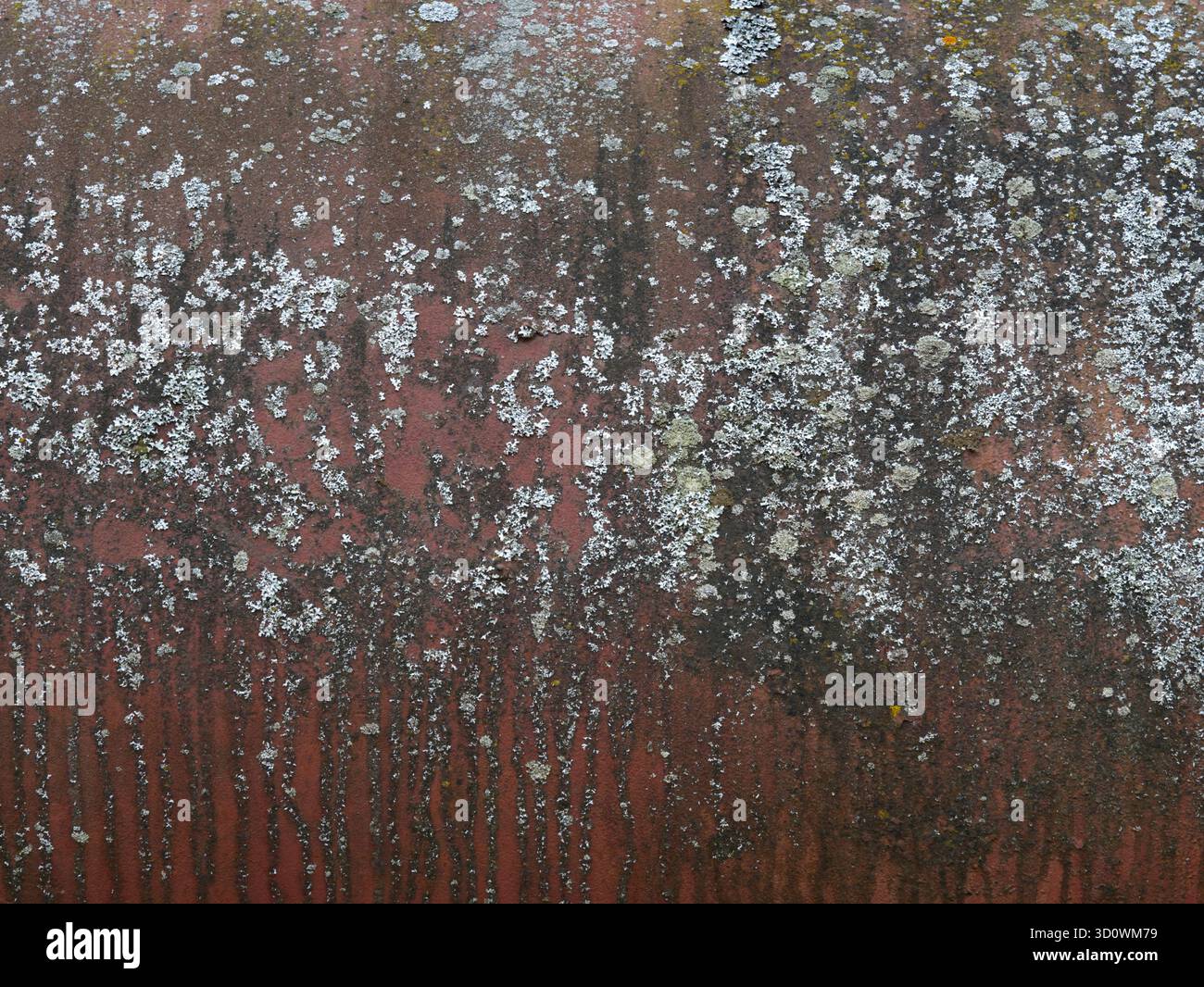 Rusty metal texture. Rusty painted metal surface texture. Rusted background. Stock Photo