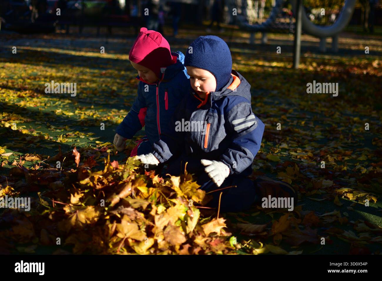 Two toddlers playing joyfully in a pile of autumn leaves at the playground, dressed warmly in colorful snowsuits and gloves, enjoying the golden fall Stock Photo