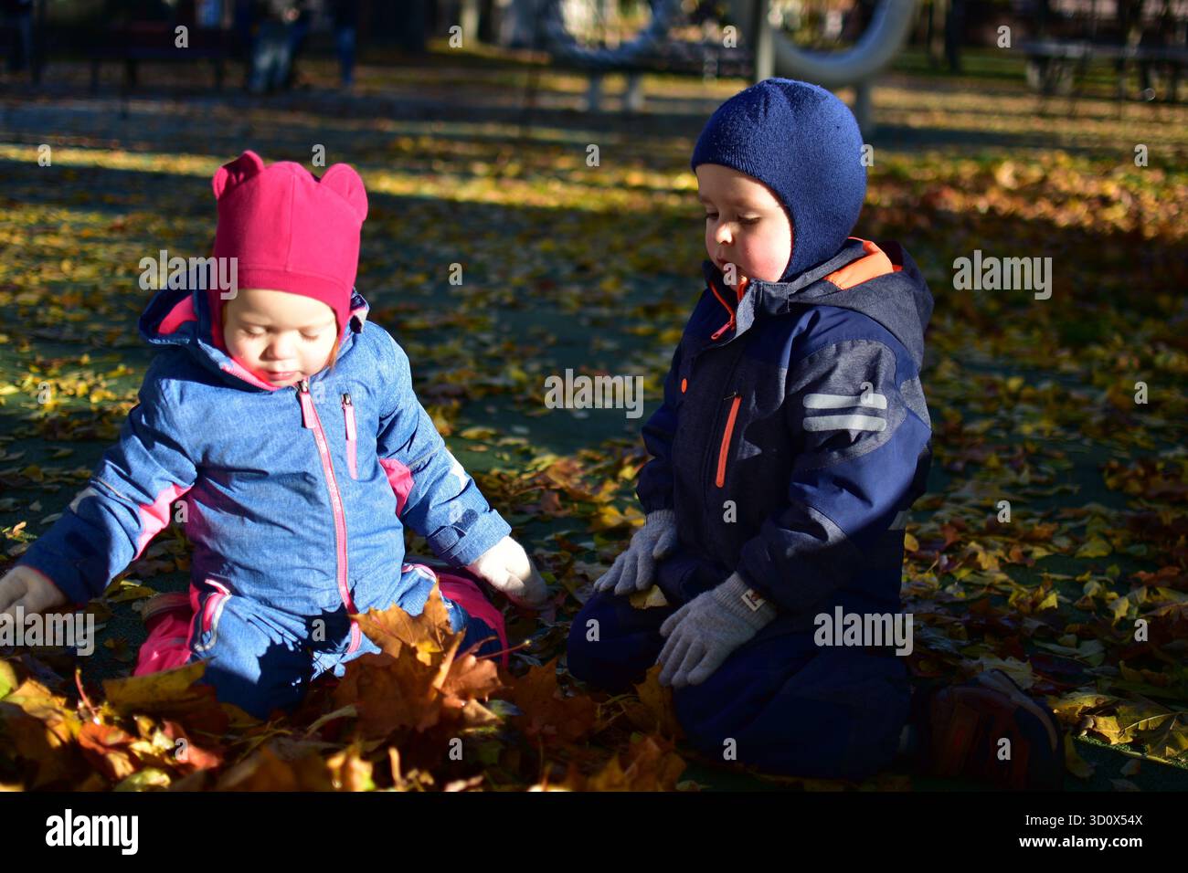 Two toddlers playing joyfully in a pile of autumn leaves at the playground, dressed warmly in colorful snowsuits and gloves, enjoying the golden fall Stock Photo