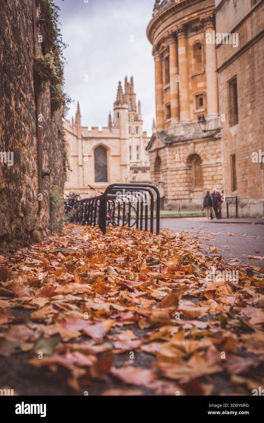 Radcliffe Camera with Autumn leaves, Oxford, UK Stock Photo