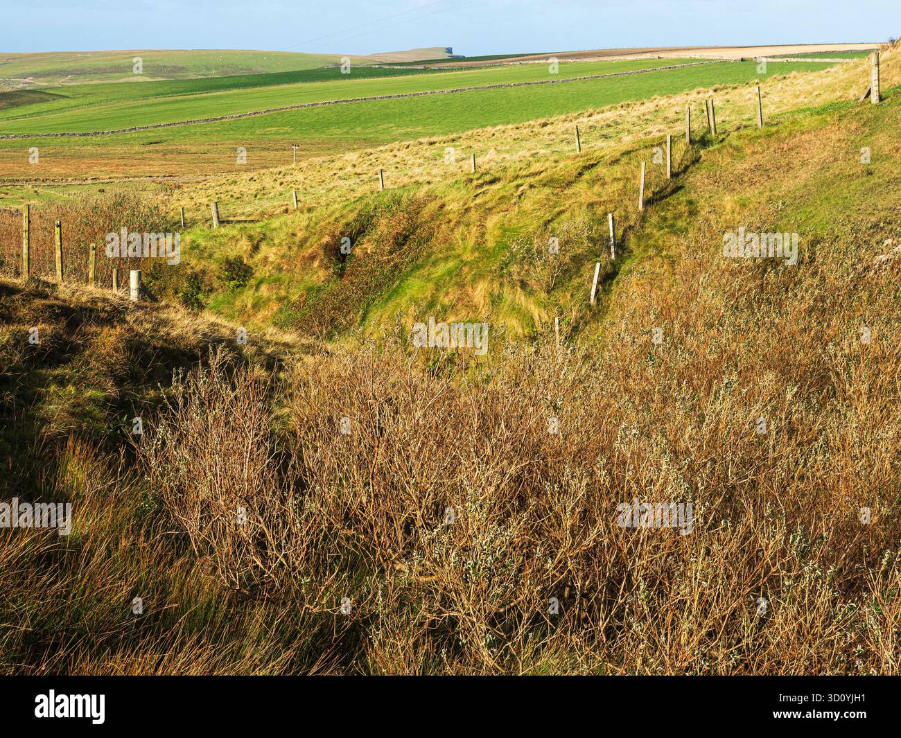 View down Geosetter, near Bigton (a birdwatching site), Mainland Shetland, Shetland, Scotland Stock Photo
