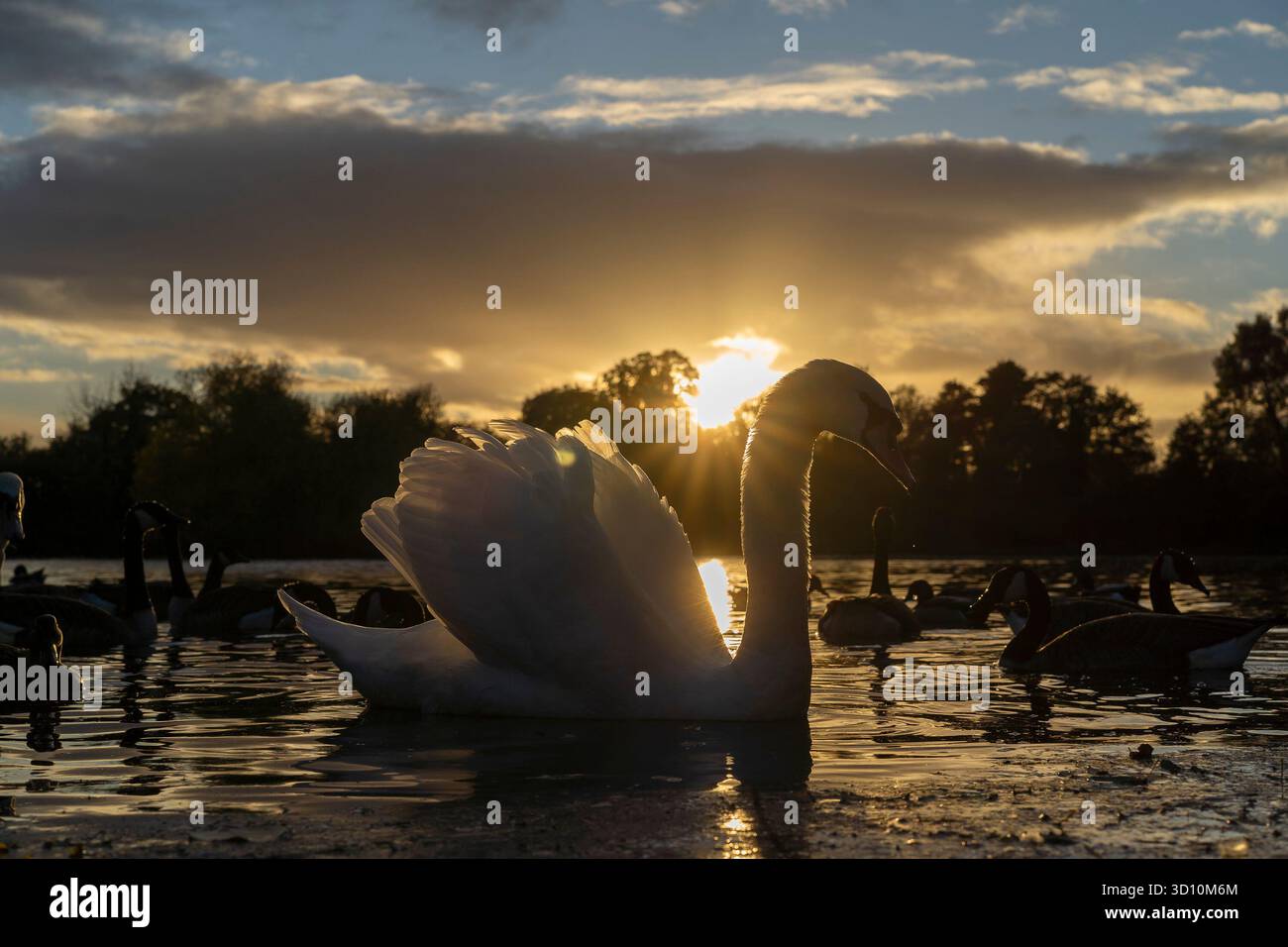 Kidderminster, UK. 25th October, 2025. UK weather: a golden sun sets at ...