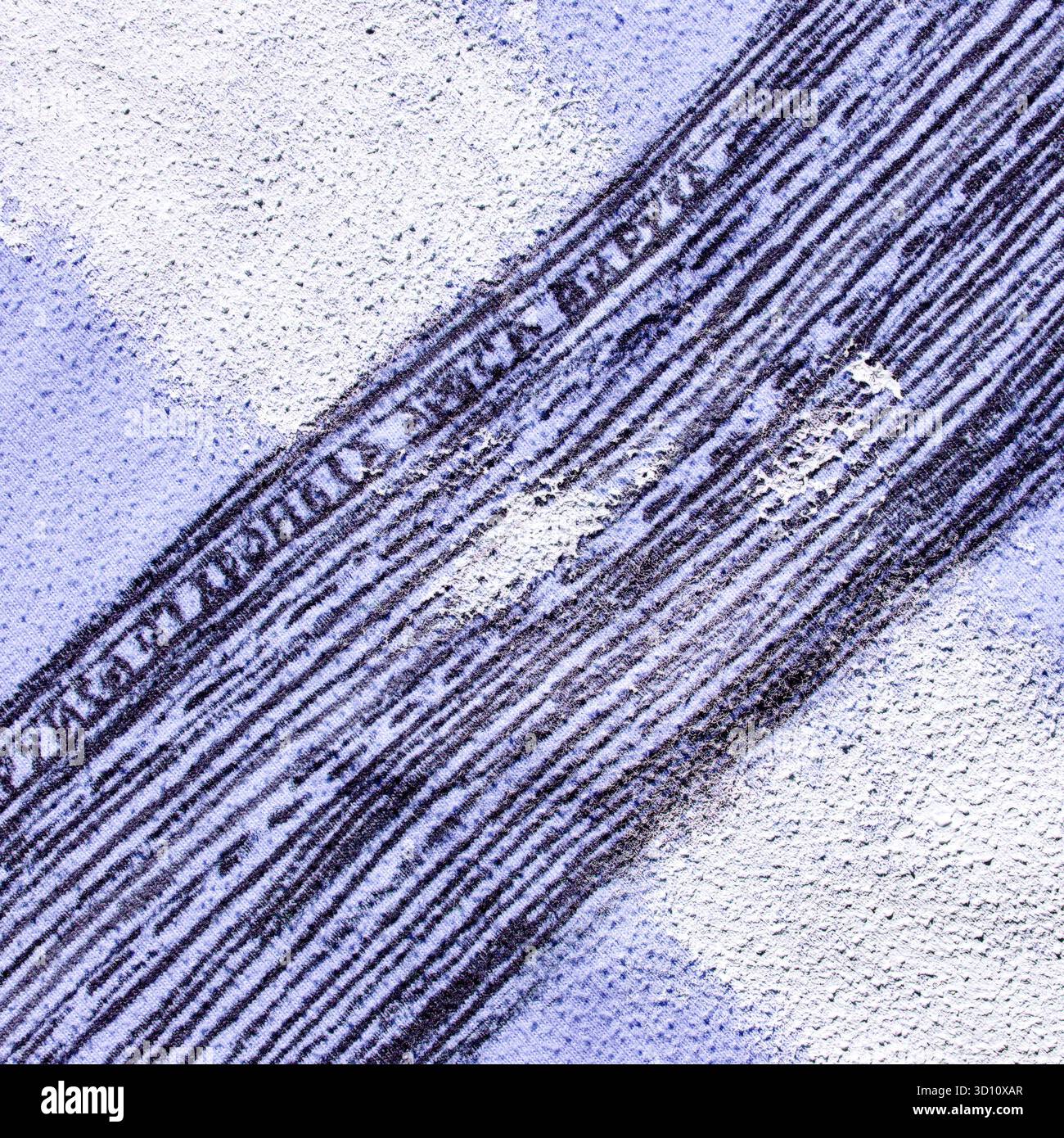 Detailed microscopic view of sclerid cells in plant tissue highlighting ...