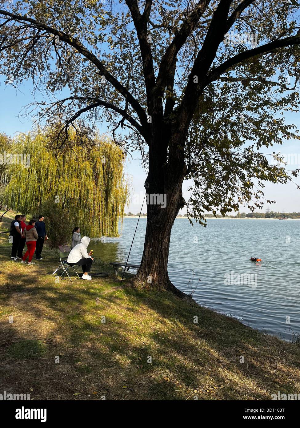 Nature - Smartphone Captured Stock Image Nature - Smartphone Captured Stock Image