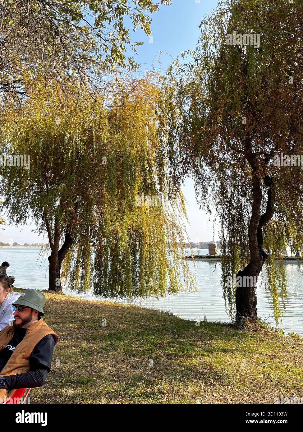 Nature - Smartphone Captured Stock Image Nature - Smartphone Captured Stock Image