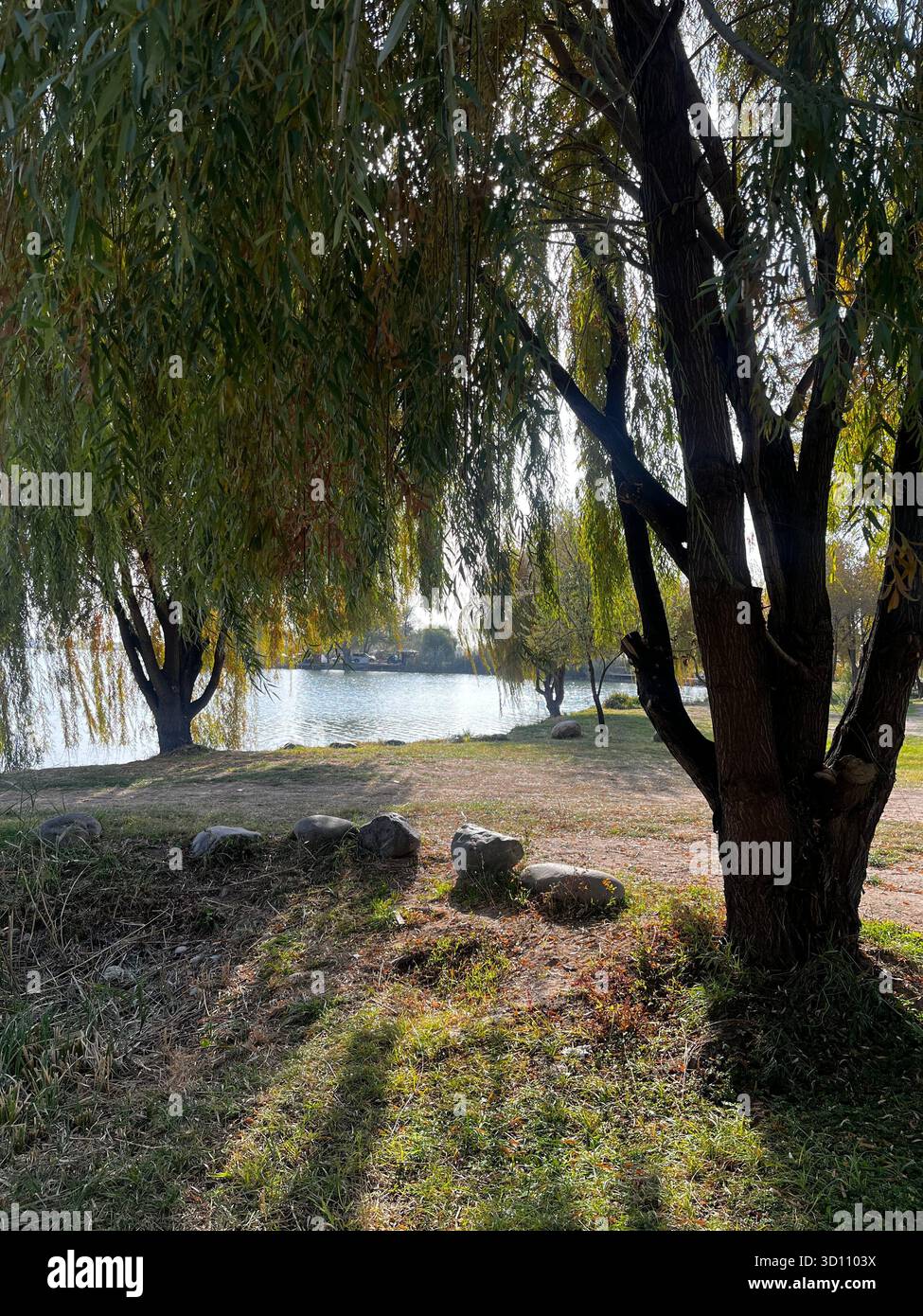 Nature - Smartphone Captured Stock Image Nature - Smartphone Captured Stock Image