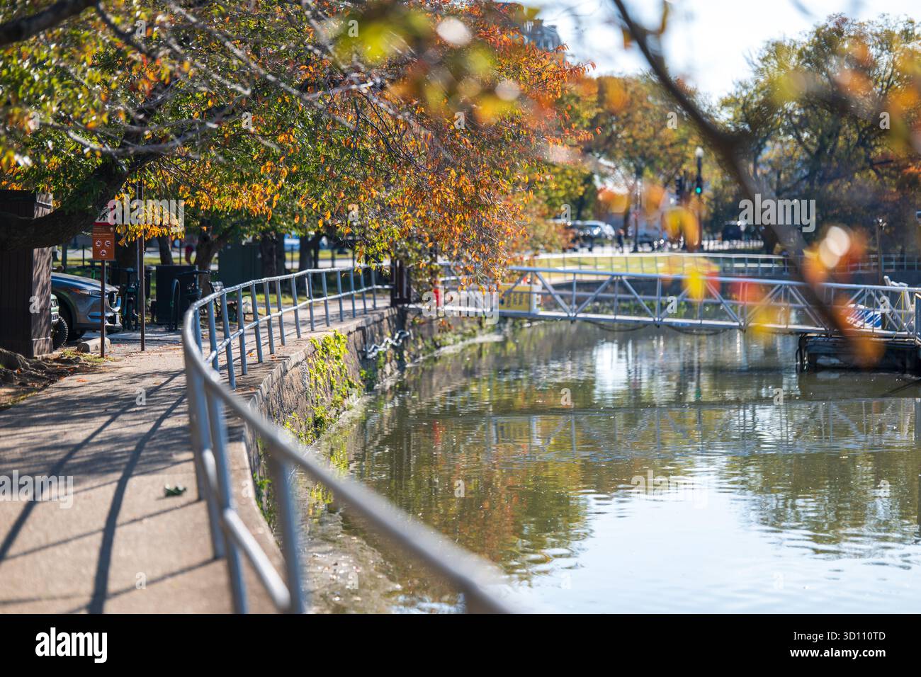 Cherry Tree Leaves In Fall At Tidal Basin Washington DC // WASHINGTON ...