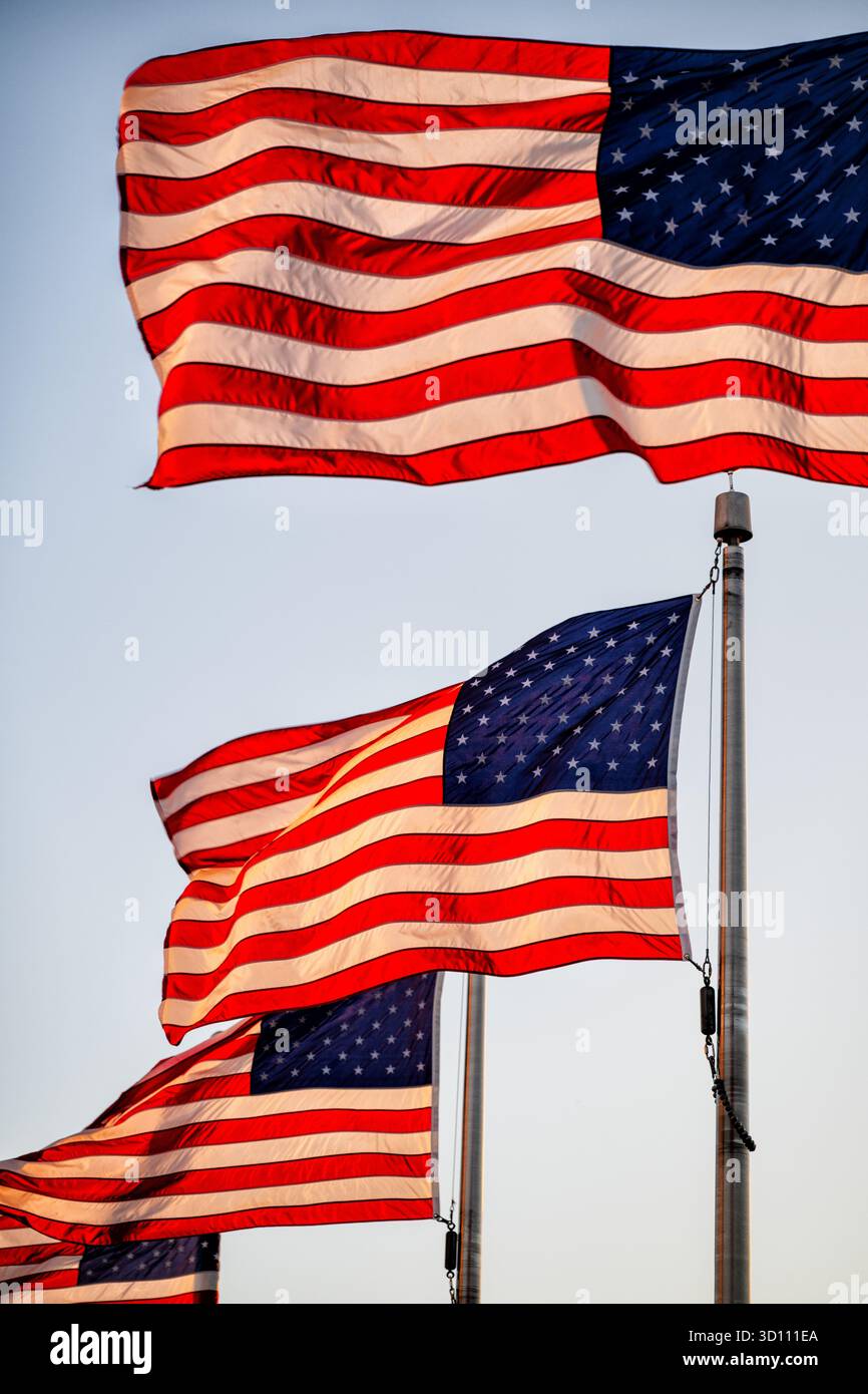 American Flags In Golden Hour Light Washington DC // WASHINGTON DC ...