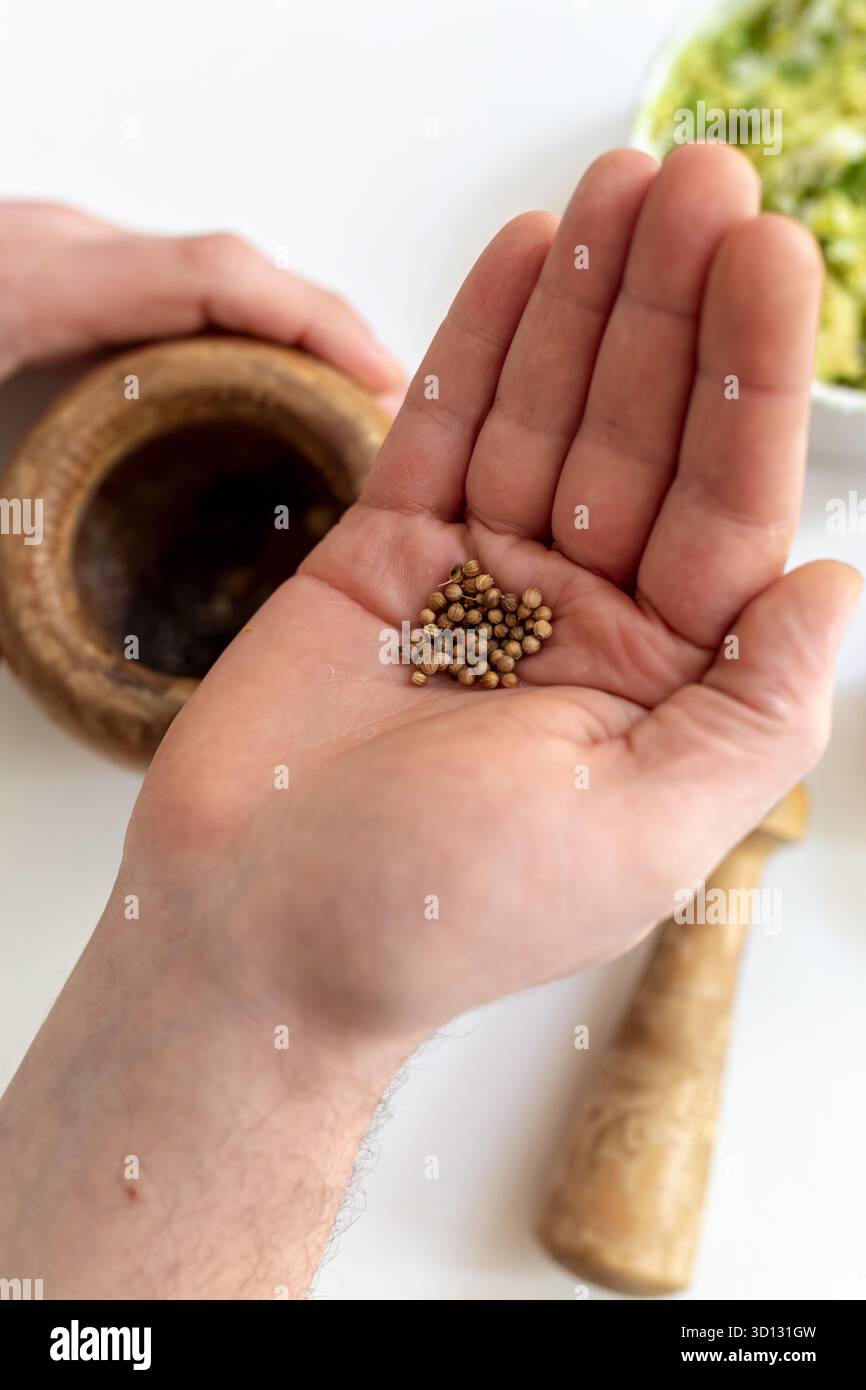 Coriander seeds on hand palm. Wooden mortar and guacamole ingredients background. Domestic interior natural light. Fresh spices home cooking. Stock Photo