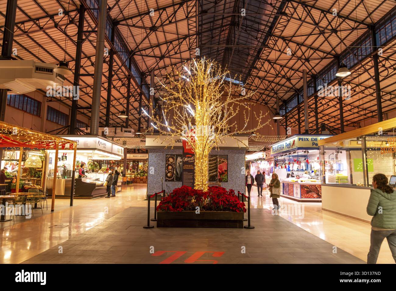 Hall features high ceilings hi-res stock photography and images - Alamy