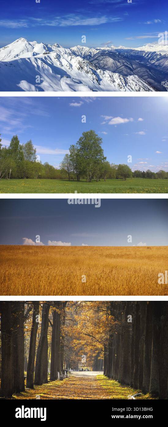 Collage seasons . All season. Seasons in one photo. Winter spring ...