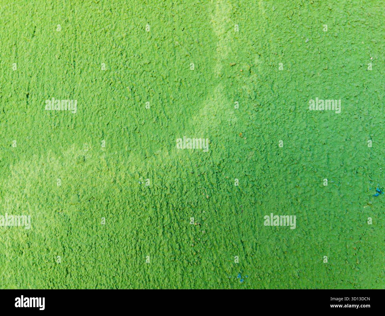 Green painted wall texture rough surface background Stock Photo