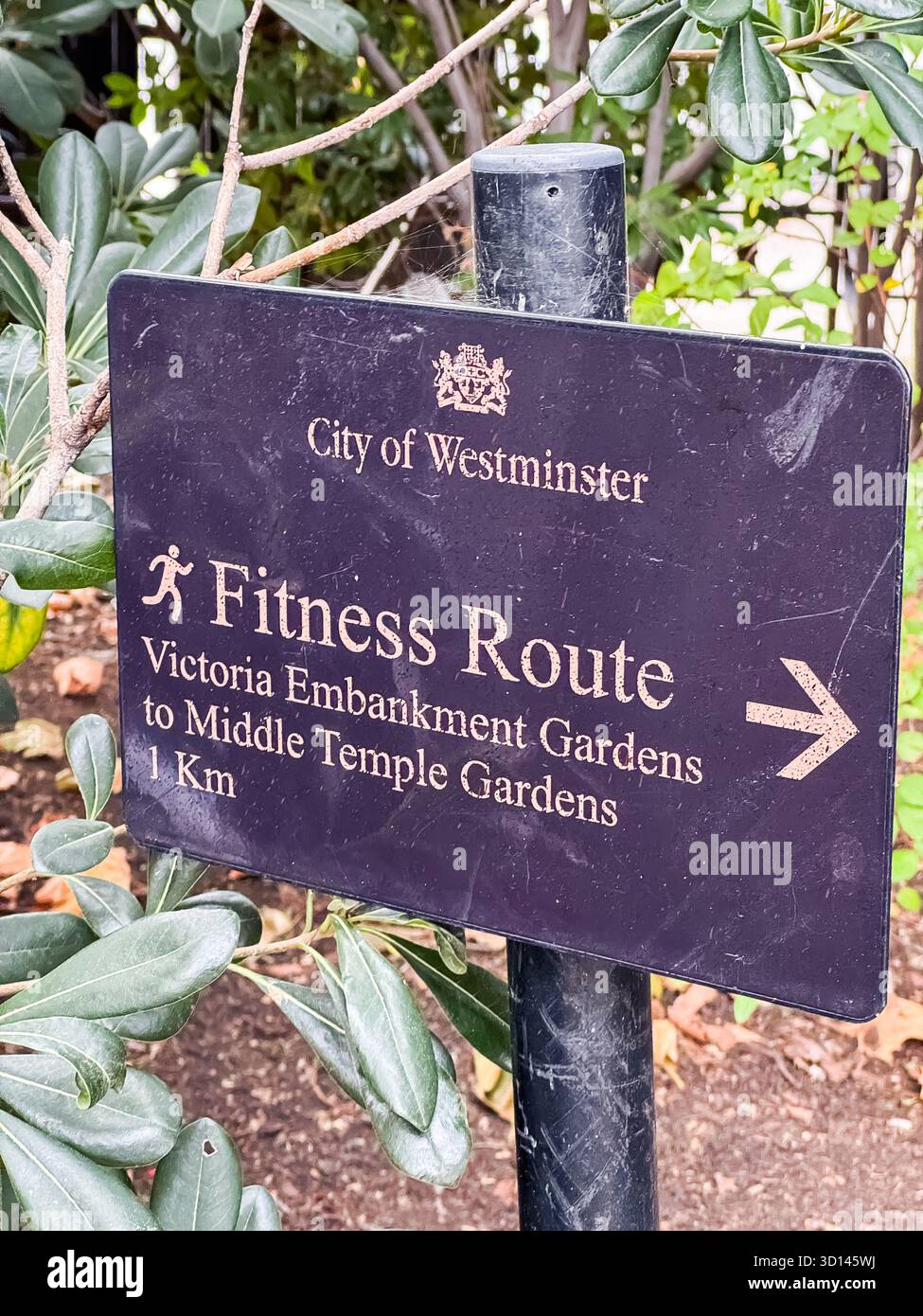 Whitehall Gardens, London - Smartphone Captured Stock Image