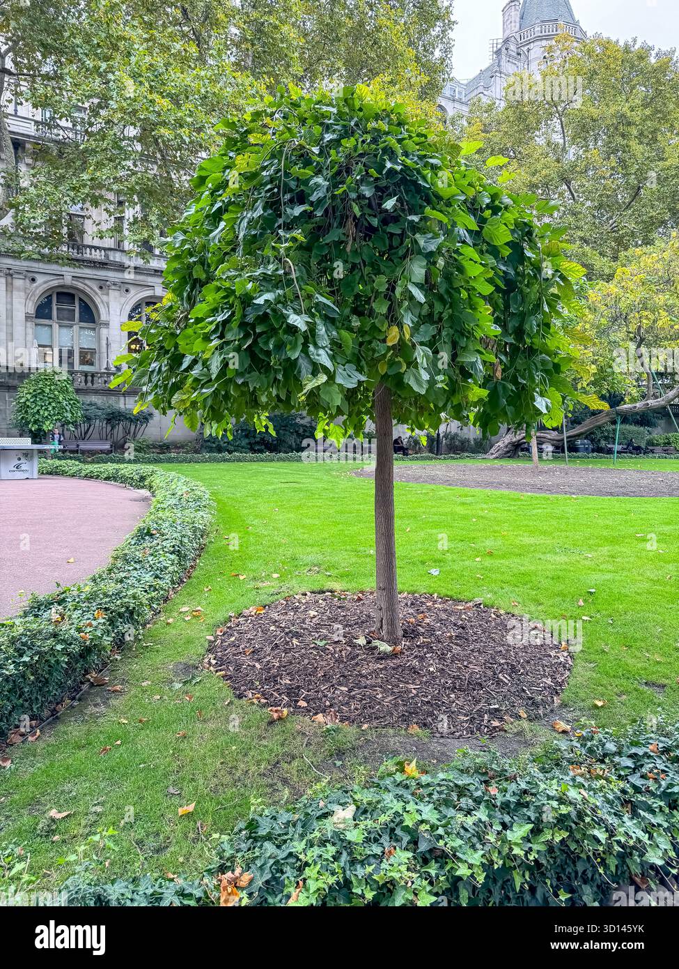 Whitehall Gardens, London - Smartphone Captured Stock Image