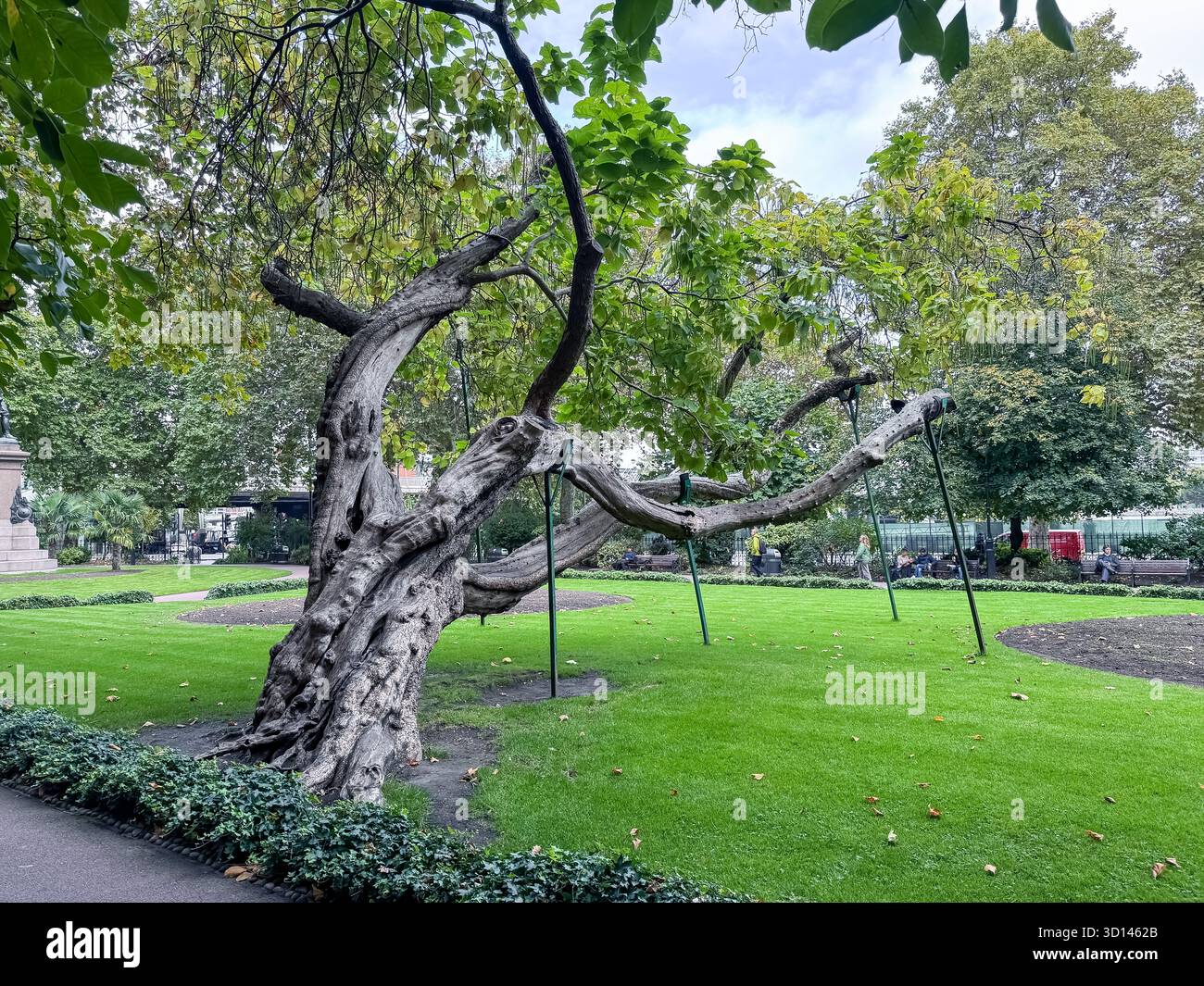 Whitehall Gardens, London - Smartphone Captured Stock Image