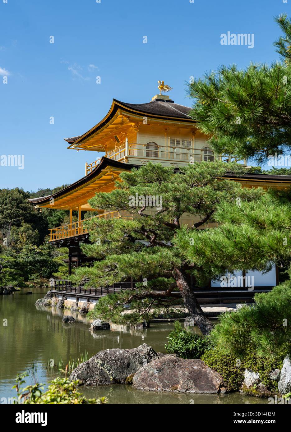 Japan Temples Color Kyoto, Japan: Kinkaku-ji, or the Temple of the Golden Pavilion, is one ...