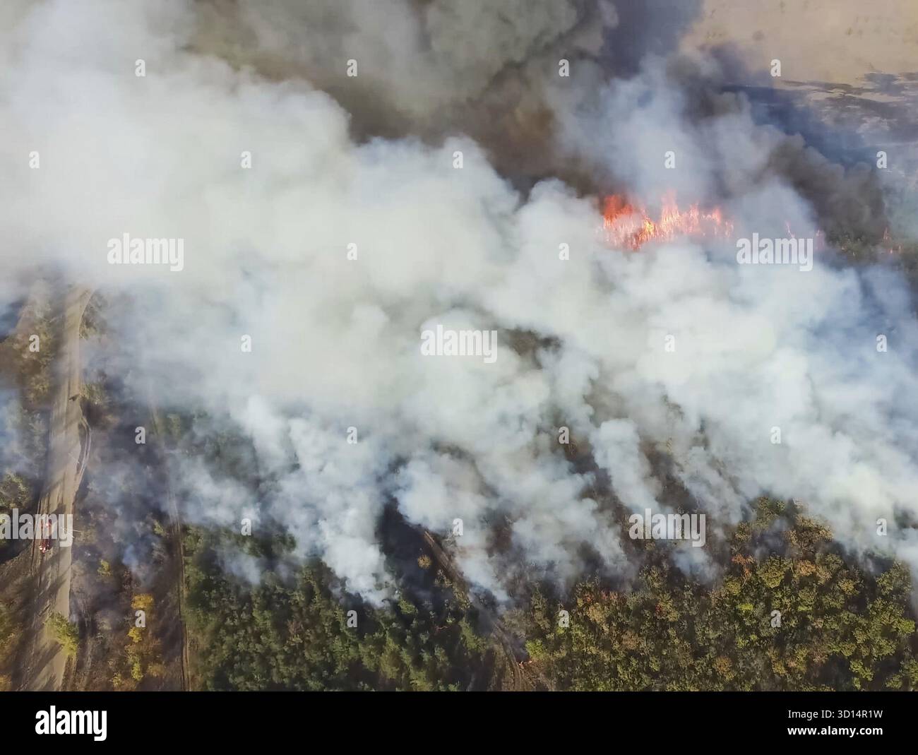 Forest fire, smoke of the surrounding area. smoke and fire Stock Photo ...