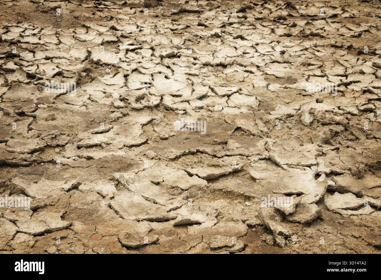 Cracked dry sandy earth Stock Photo