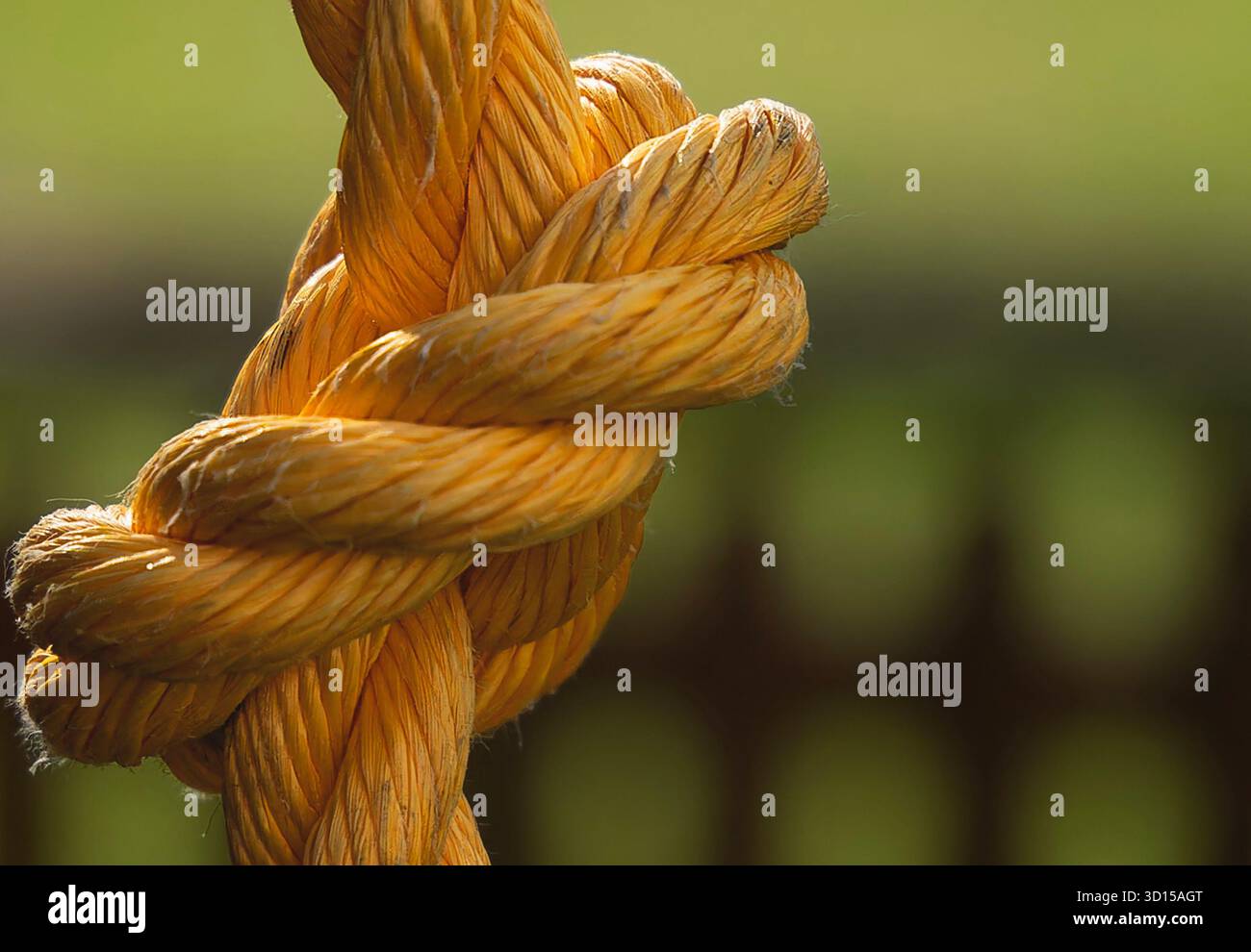 A nylon rope in a knot Stock Photo