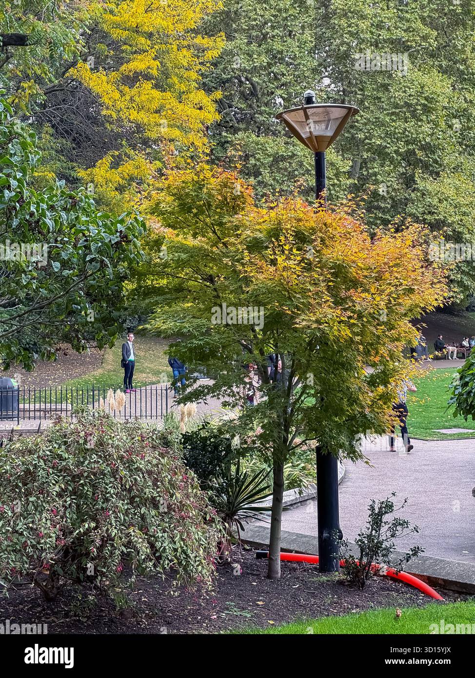 Victoria Embankment Gardens, London - Smartphone Captured Stock Image