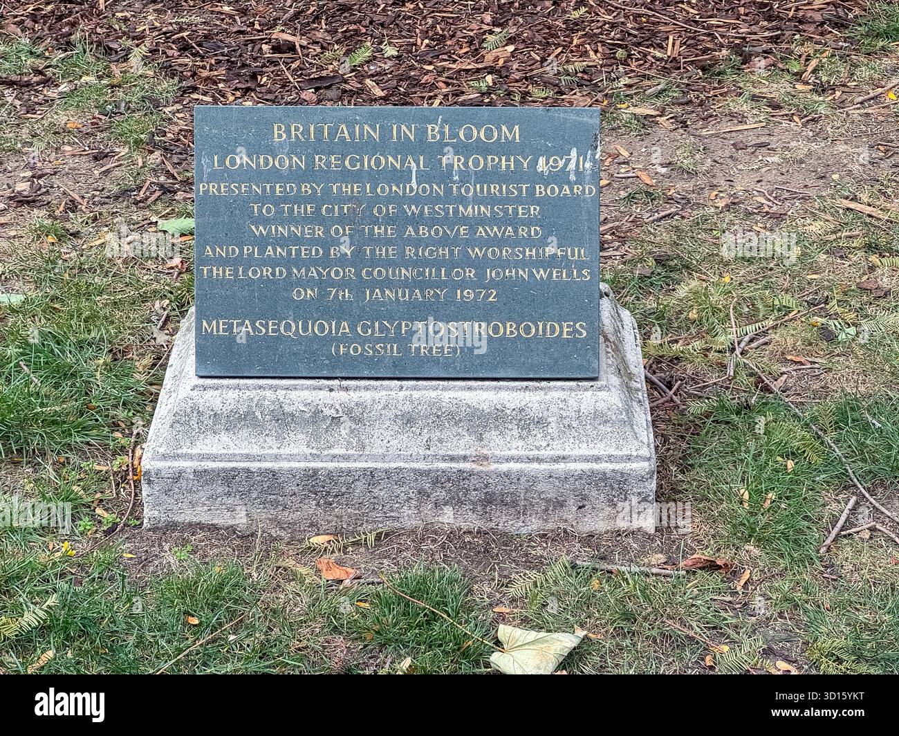 Victoria Embankment Gardens, London - Smartphone Captured Stock Image