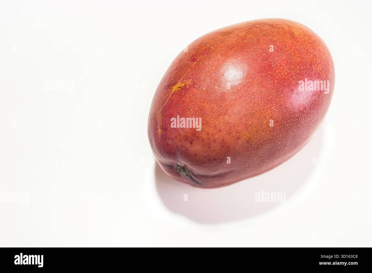 Sweet and highly nutritious mango fruit. Stock Photo