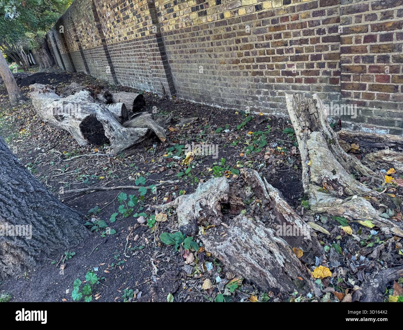 Hanwell Cemetery, Ealing, London - Smartphone Captured Stock Image